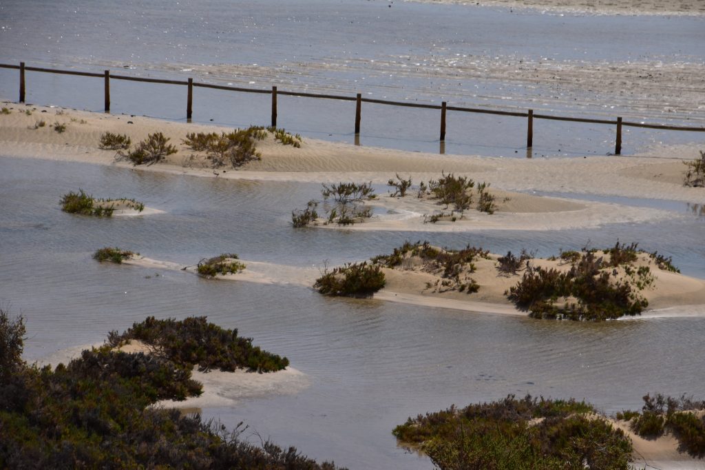 Naturschutzgebiet (Salzwiesen) überschwemmt nach starker Flut