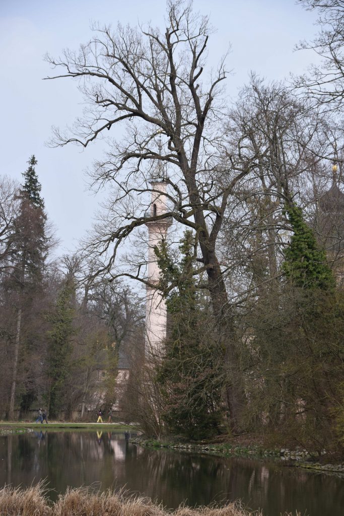 Kirschblüte Schlossgarten Schwetzingen im März 2019